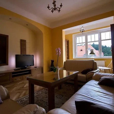 Apartamenty Centrum-3