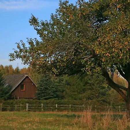 Uroczysko Teremiski-2