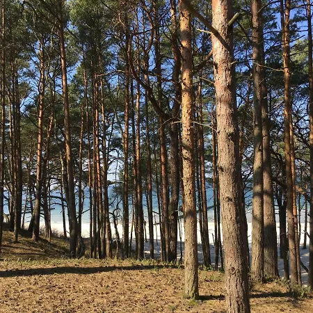 Apartamenty I Pokoje Magnolia 300M Do Plazy-3