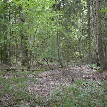 Zakątek Warmiński-2