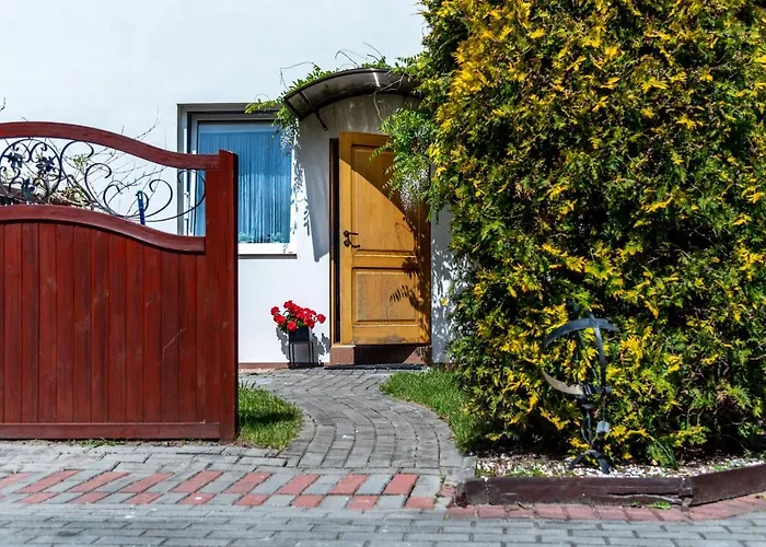 Wakacje U Oli