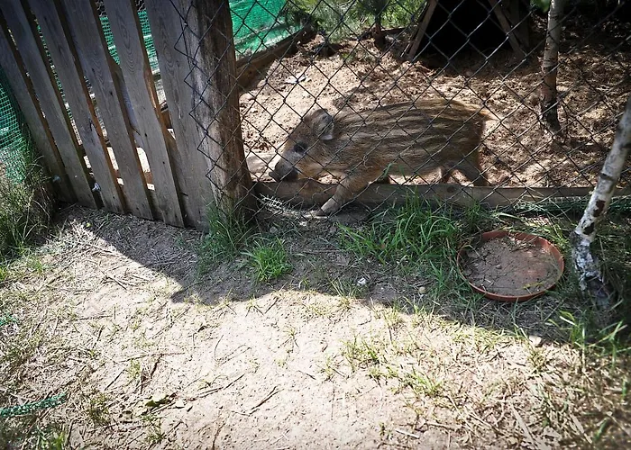 Zajazd Ostoja Stary Dzierzgon, Polska