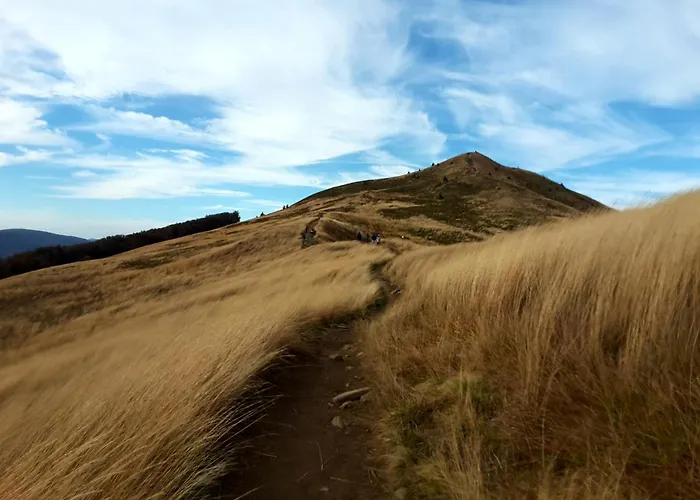 Baza W Bieszczady