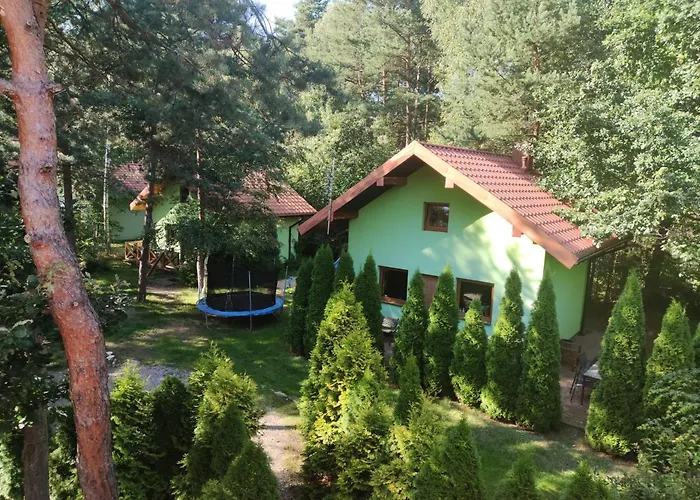 niezapominajka-jura