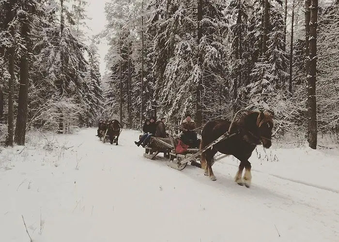 Chata Białowieska Pod Bocianem Hajnówka, Polska