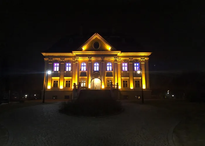 Pałac Borynia
