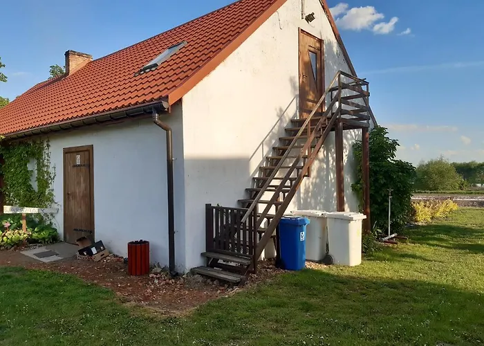 Lovenda Kujawska Zlotniki Kujawskie, Polska