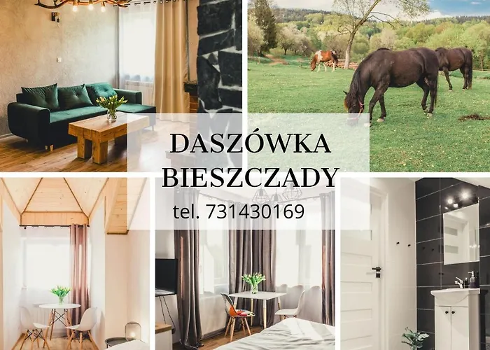 Daszówka Bieszczady