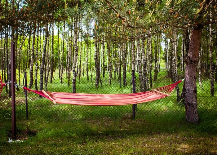 Domki Letniskowe Bory Tucholskie - Klimatyzacja Wifi Sauna Jacuzzi Mecikal, Polska