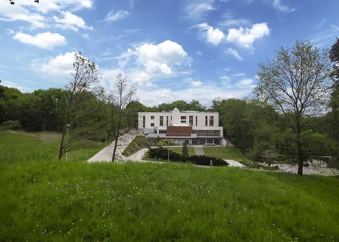 Wielspin Puszczykowo, Polska