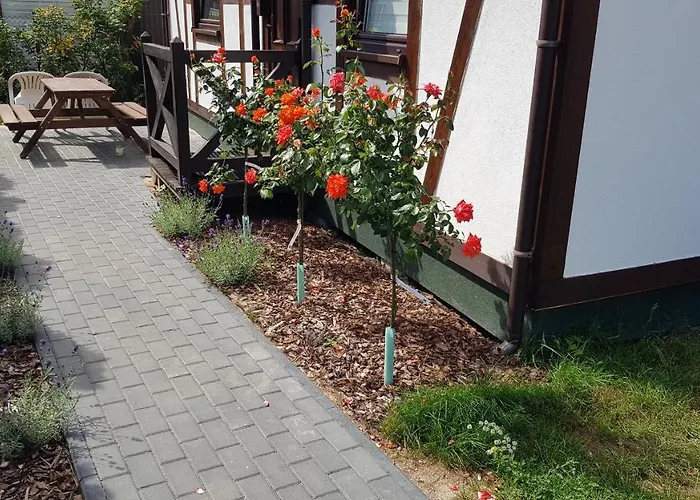 Pustkowo Domki Wakacyjne U Marka