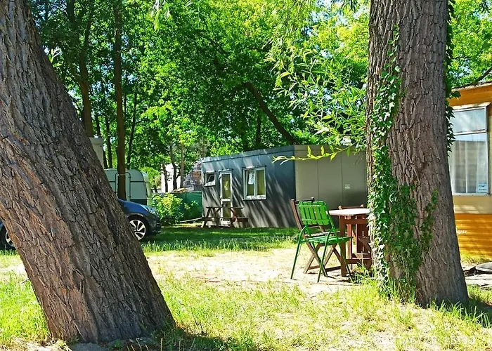 Camping Style