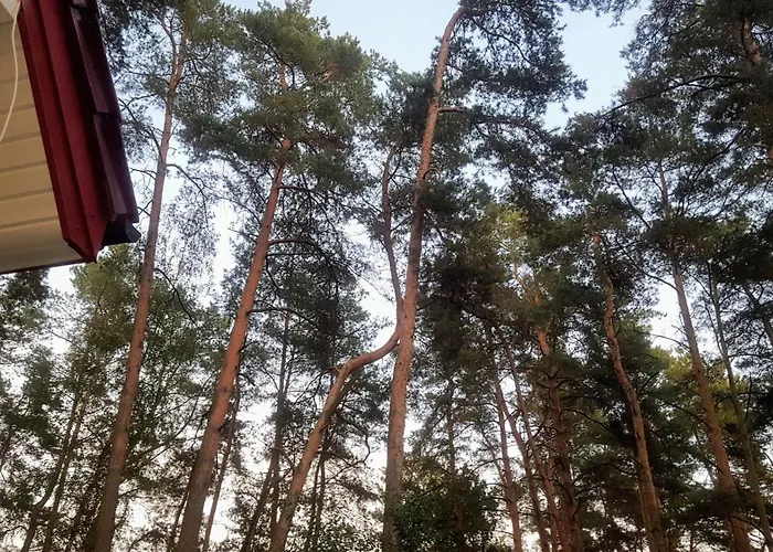 JW MAZURY domy wakacyjne nad jeziorem-DOM ŻURAW