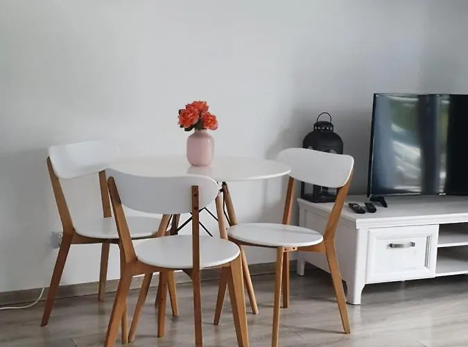 Narutowicza Modern Apartment 2