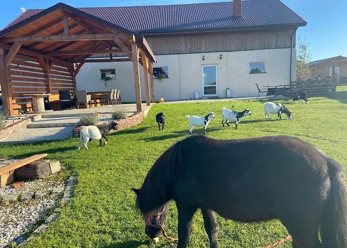Domki letniskowe Nad Łąkami