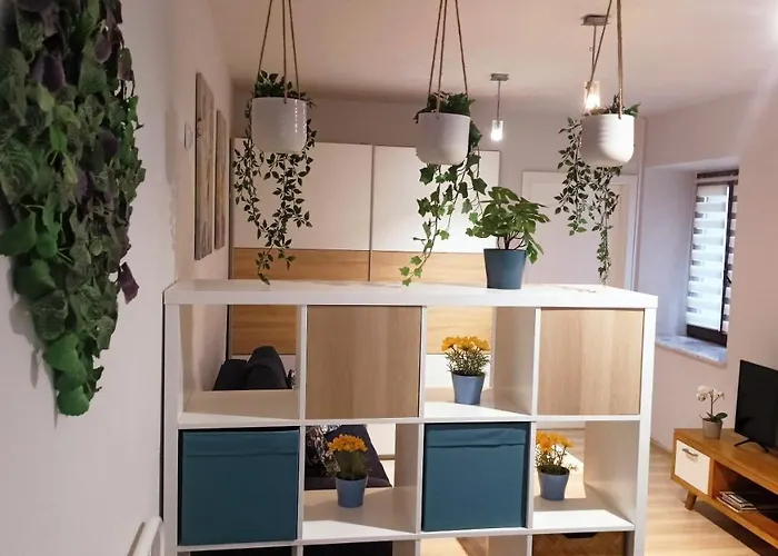 Apartament Granatowy Świętoduska 12