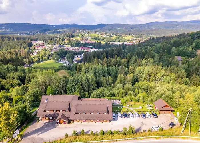 Czarna Owca