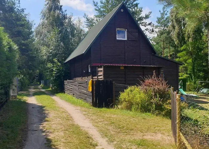 domki nad jeziorem, las, do 10 osób jezioro Wilczyńskie Budzisławskie - domek letniskowy osobno ogrodzony, ogrzewany mile widziane pieski, zwierzeta- wielkopolska, 62-550 Zygmuntowo gm Wilczyn, Polska