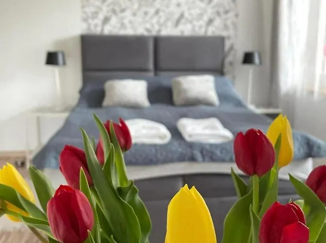 Villa Marzenie Pokoj 2 Osobowy Wdzydze Kiszewskie, Polska