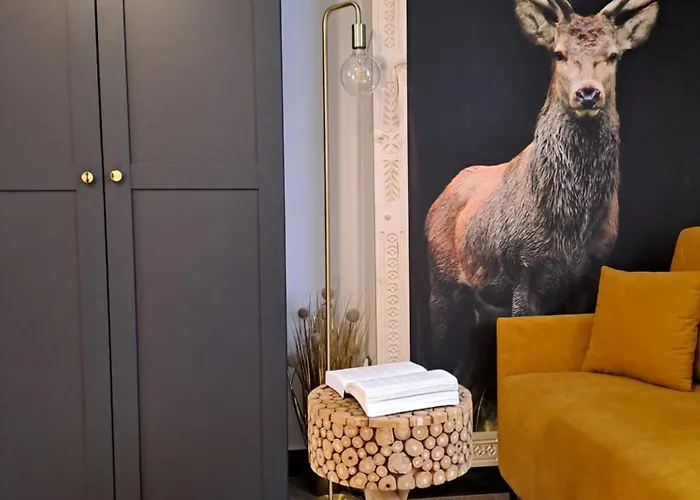 Apartamenty U Paliderki