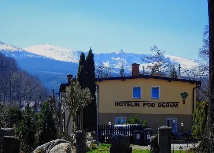 Hotelik Pod Debem
