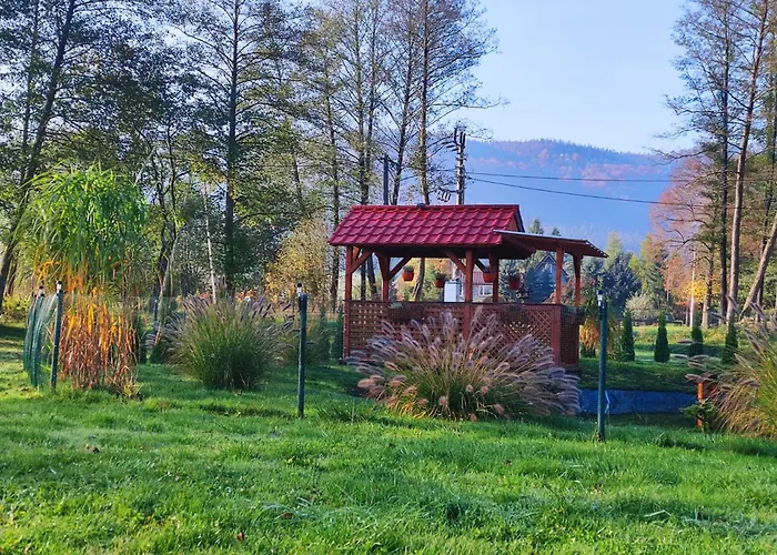 Nad Cedronem