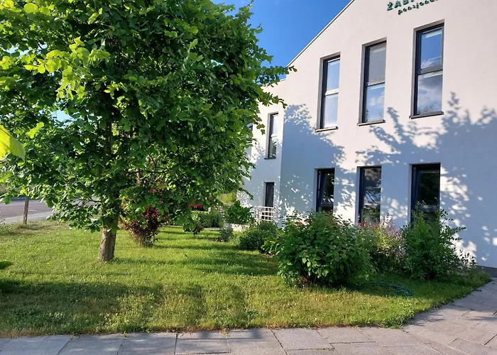 Żabi Staw