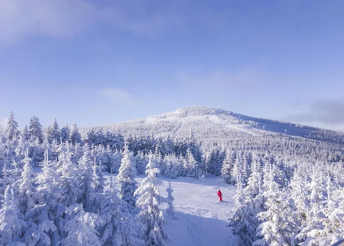 Panorama Ski, Bike, Spa & Restaurant - Czarna Gora Resort Stronie Śląskie, Polsko