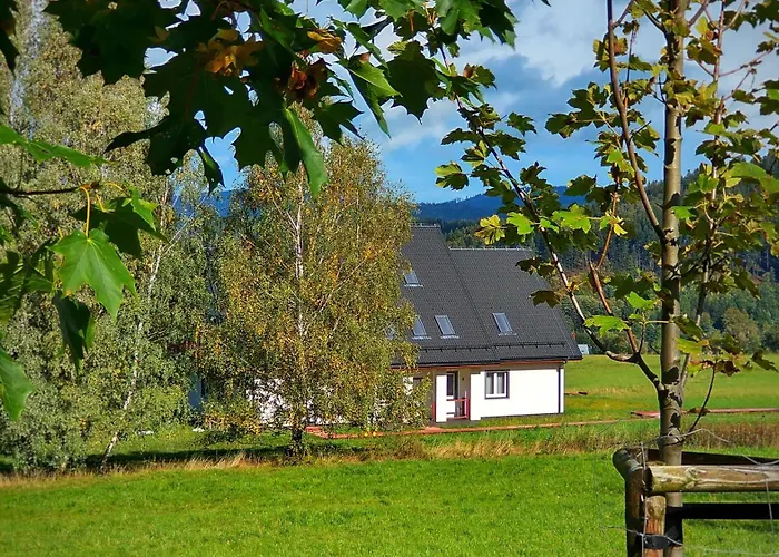 Ostoja
