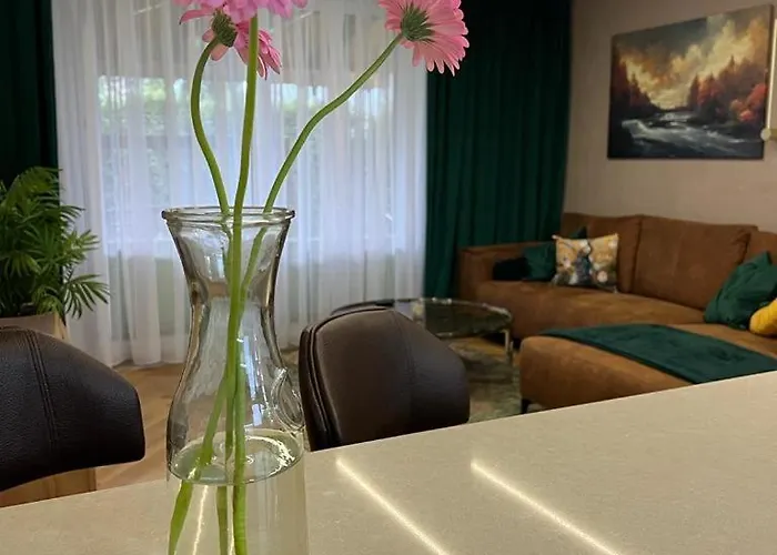 Ms House Apartament