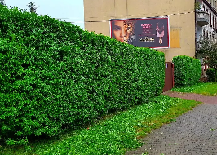 Dębowa