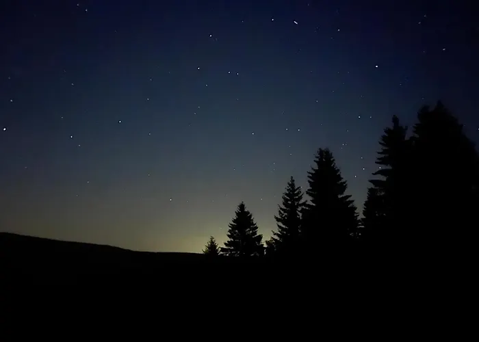 Woodyou - Izerski Resort