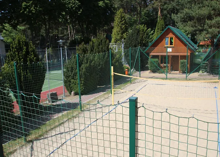 Domki pod lasem blisko morza