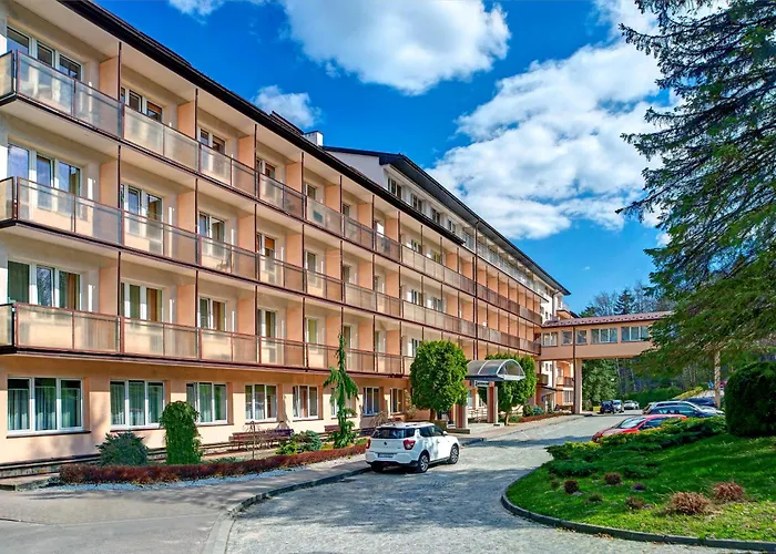 KZZG w Polsce, Górnicze Sanatorium Związkowe GÓRNIK
