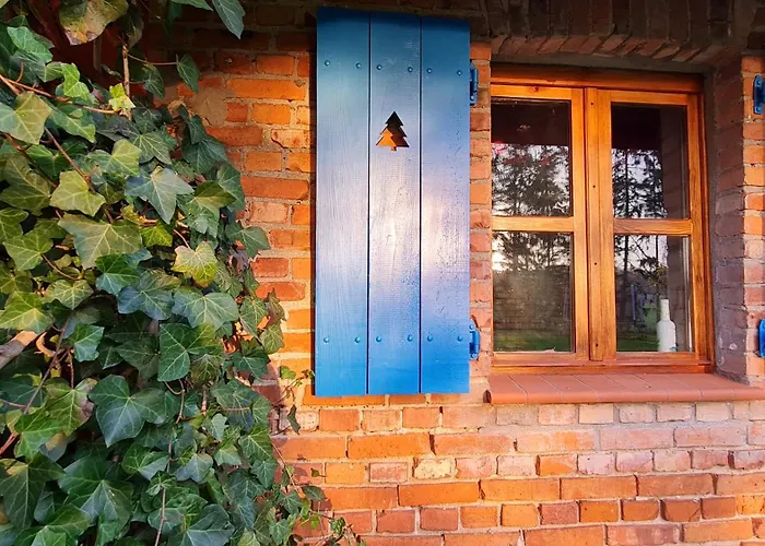 Wyspa Świerków