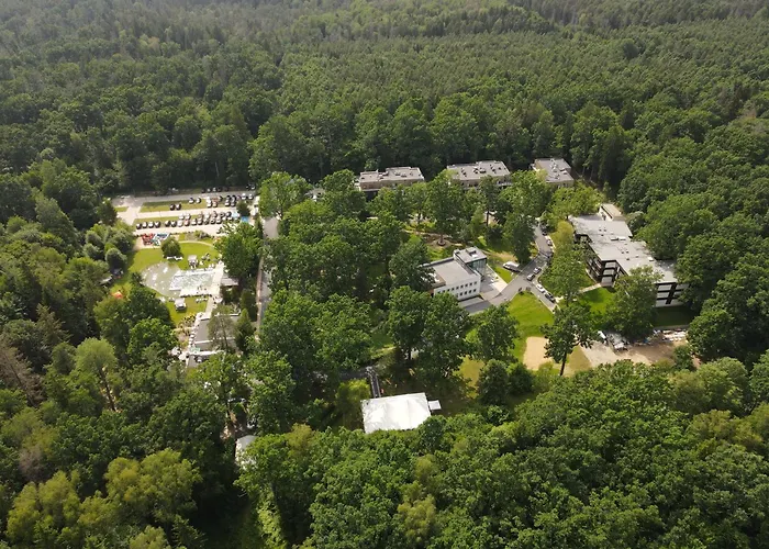 Enklawa Białowieska Forest&Spa