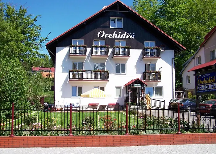 Orchidea