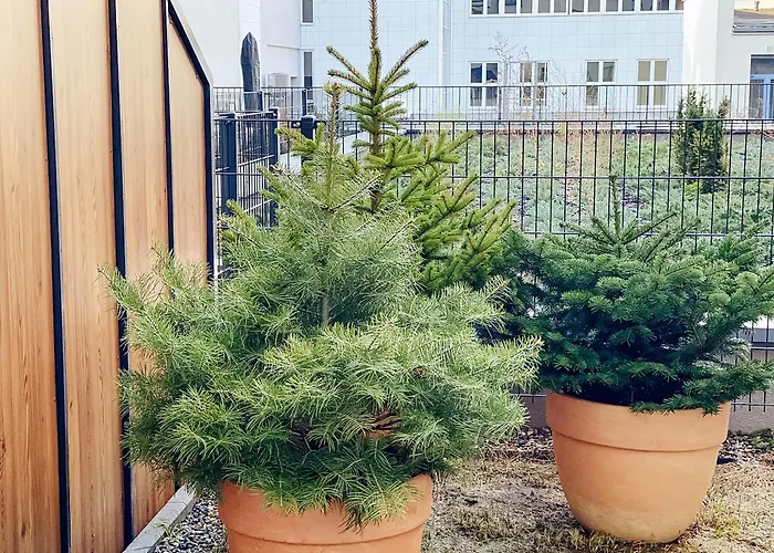 ONE Apartamenty Gąsiorowskich 4