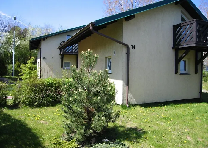 Róża Wiatrów