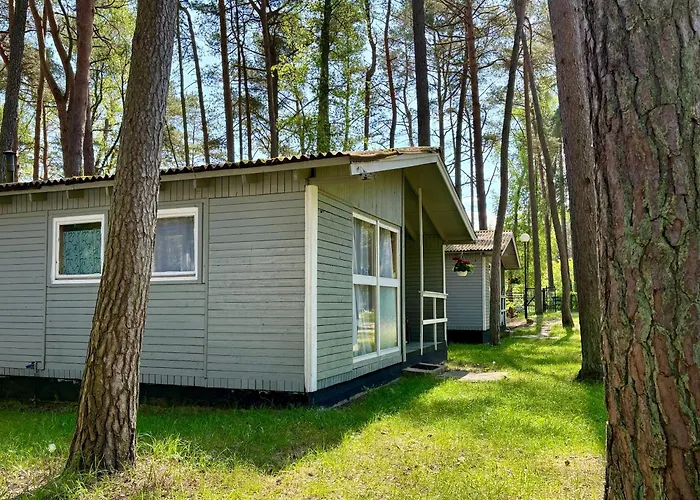 Leśna Przystań