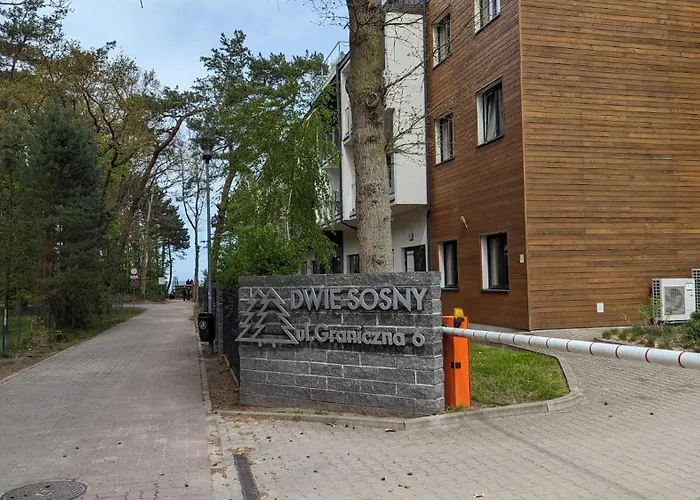 Dwie Sosny I Świerk