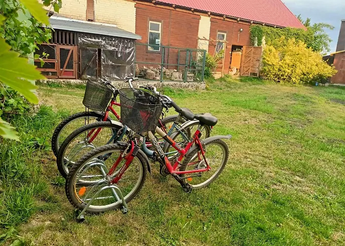 Malinowy Gaj - Agroturystyka z alpakami i innymi zwierzętami Swietajno , Polska