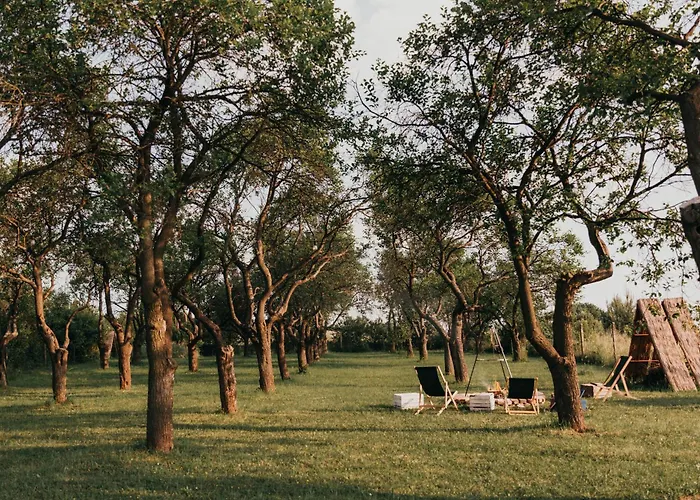 Śliwkowy Sad-Plum Orchard-Jura
