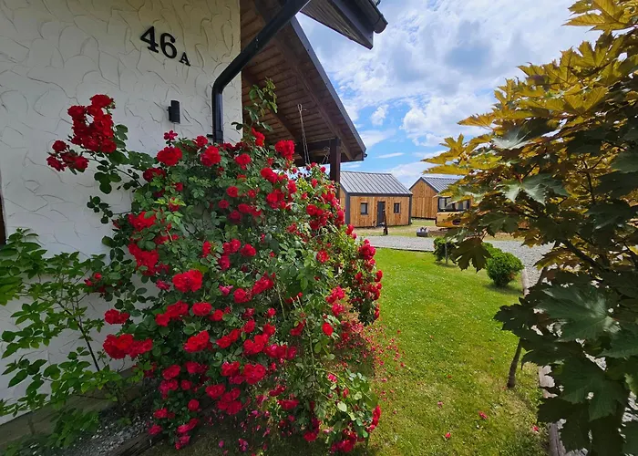 Chata w Bieszczadzie apartamenty i domki z sauną Bieszczady Polańczyk, Polska