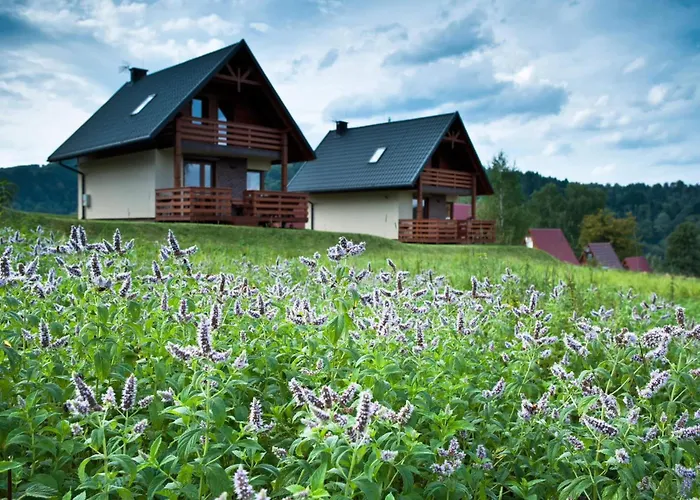 BIESZCZADZKI RAJ Komfortowe domy nad samym Jeziorem Solińskim - Sauna 608-280-713