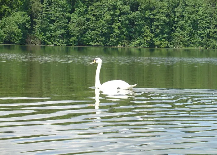 Pałac Białokosz