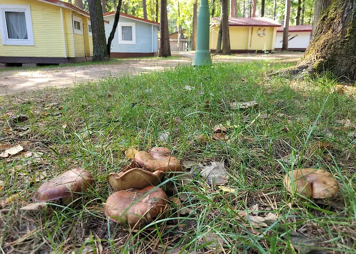Letnisko Bajka