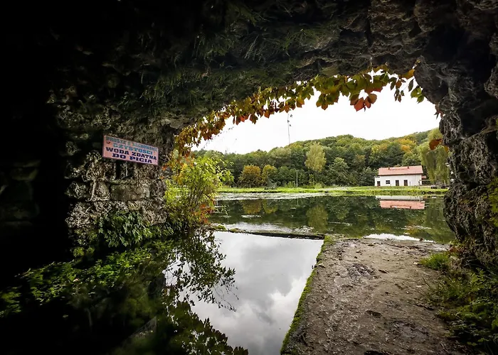 Rózin Pstrągarnia domki całoroczne Jura Krakowsko-Częstochowska