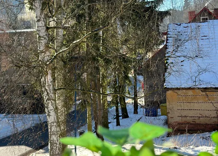 Znajomi Znajomych