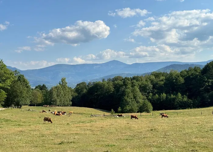 Zabytkowy dom Czerwony Dworek 8 Mysłakowice, Polska